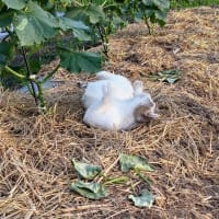 ダメ元で…いや～まだまだ^^;