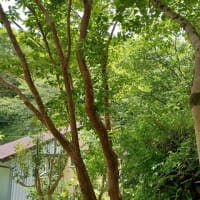 小さな陶芸展へのお誘い