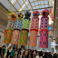 夏の思い出