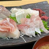 福井市中央卸売市場内の人気店「群青」の天然地魚メイン刺身定食！