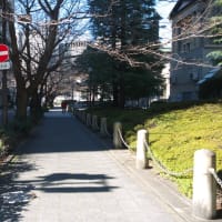 ２月の日本橋：室町ちばぎん三井ビルディング前から日本銀行本店本館前へ　ＰＡＲＴ２