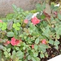 とんでもない人物。