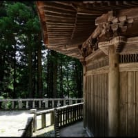 「安楽寺」の 国宝八角三重塔