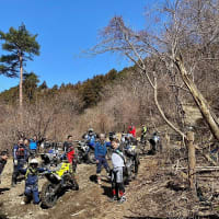 3月18日は今年３回目の楊遊会でした！チョッと肌寒い日でしたが、湿り気もありこれぞベスコン”！登る登る！