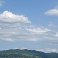 ネジバナが咲き始めた