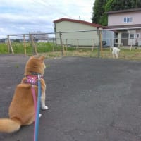パソコン、時間がかかります！