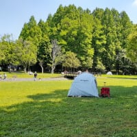 水元公園 草原のピクニック