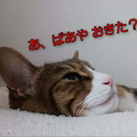 病院の日