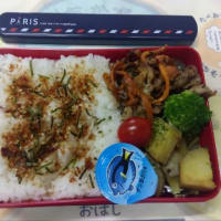 今日のお弁当＆じゃがいも収穫