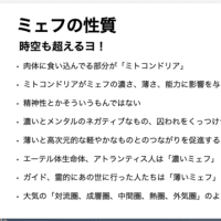 最近語っている「ミェフ」とは？