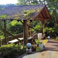 夏の予約・スターヒルズ