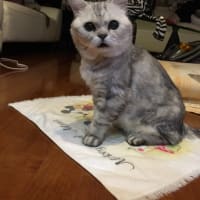 Gooブログ　終了のお知らせ
