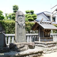 平塚の旧八幡村の小鎮守「八坂神社」
