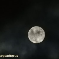 今夜は「中秋の名月」で満月を迎える！！