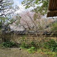 小田原