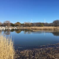冬の都立舎人公園