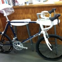 FUJI Comet R 入荷しました。