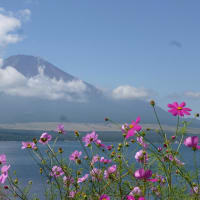 富士五湖巡り