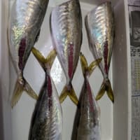 釣り場は、ゴミだらけ!?