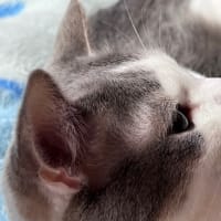 なんとかできたかな