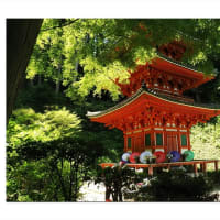 岩船寺　静夏の刻