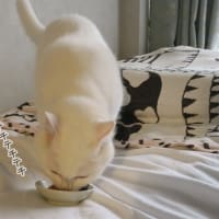 そんなことないわよ