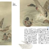 忘れ去られた画家　蘆鴨　鈴木華邨筆　その３