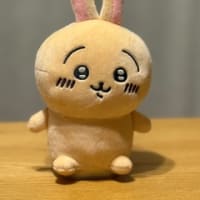 だいちゃんのお誕生日プレゼント