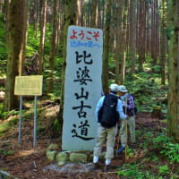 山に行きたいなぁ