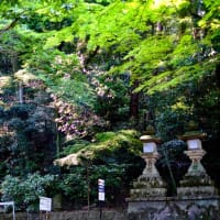 山の辺の道へ-奈良県天理市：石上神宮