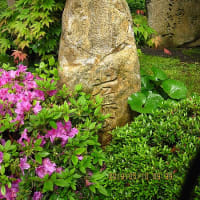 金沢市: 成 学 寺（じょうがくじ）蕉翁墳！芭蕉句碑と他の二句碑！