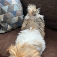 目が分からない。