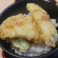 無敵の資さんうどん