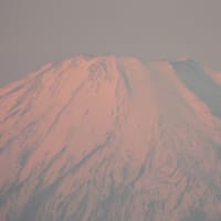 2025年を迎えて