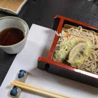 金谷山への吟行