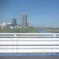 予約の通院なので暑くとも出かけ、いったん外に出れば・・・