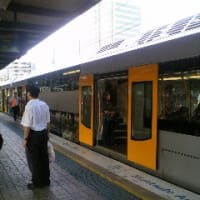 電車は基本的にダブルデッカーの模様