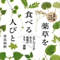 薬草料理