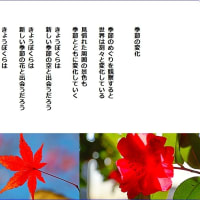 季節の変化