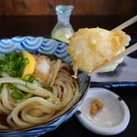 うどんの庄真田へ行きたいな