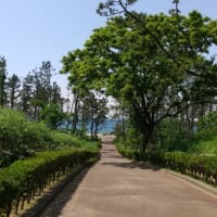 仕込み(^.^)