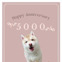 5000日記念企画　その4