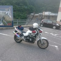 2りんかん祭り2018west(2018.05.26)