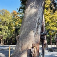 初めての伊勢神宮