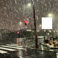 故障診断は難しいですよ