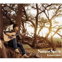 一枚のレコードから(6)　～押尾コータロー Nature Spirit～