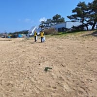 福間海岸清掃