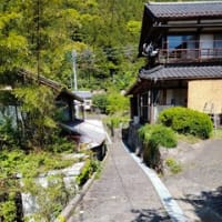 富士川町大柳渓谷遊歩道を歩く！
