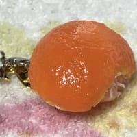 🍊みかん