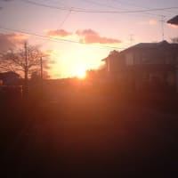 おはようございます。晴れています。